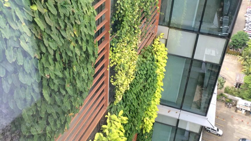 11. Vertical Garden Wisma MRA 2